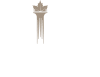Member of the CIPF.